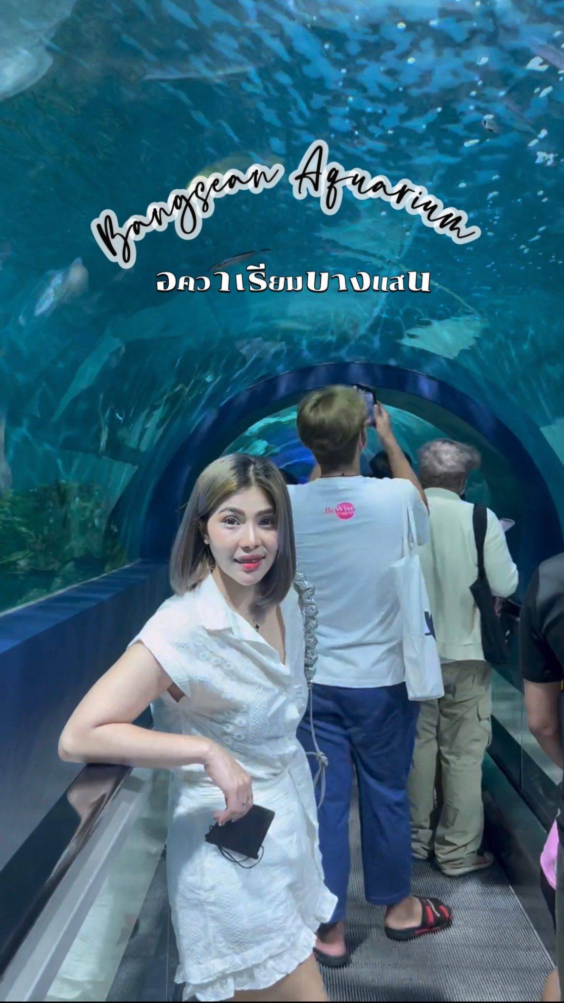 Bangsaen Aquarium