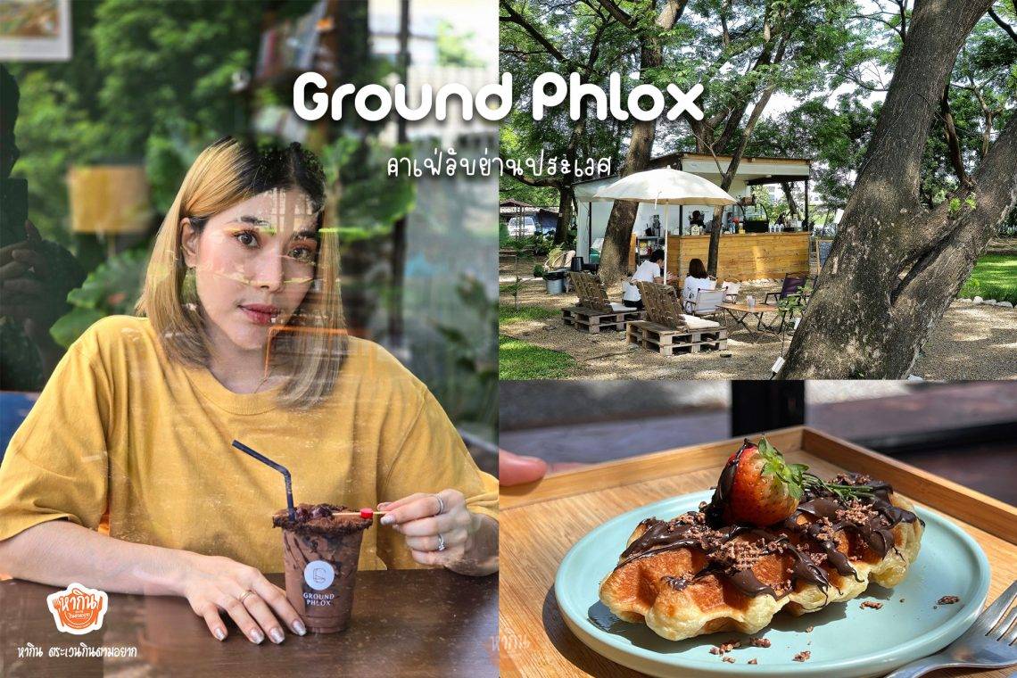 Ground Phlox