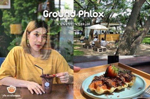 Ground Phlox